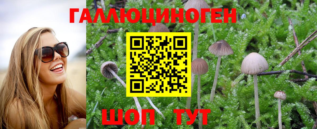 Галлюциногенные грибы Magic Shrooms  Галлюциногенные грибы MAGIC MUSHROOMS  Вход с VPN  Советск 